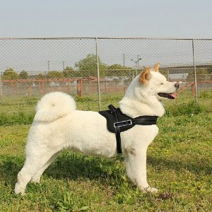 Dog Adjustable Control Soft Vest Harness Walk Collar Chest Strap Vest - Black M