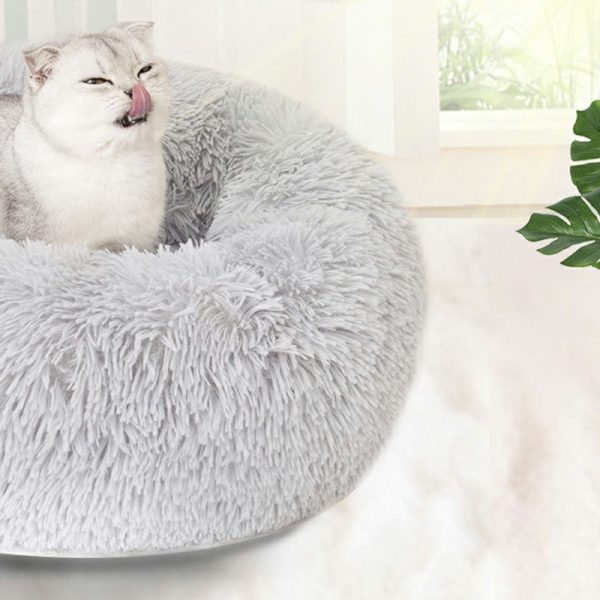 PET-GKBFBB-CHElFK-4