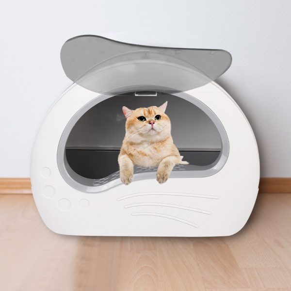 PET-JGCFCC-HMJQKP-10