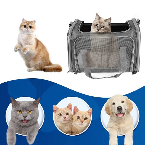 PET-MIMHFF-HMJQKP-9