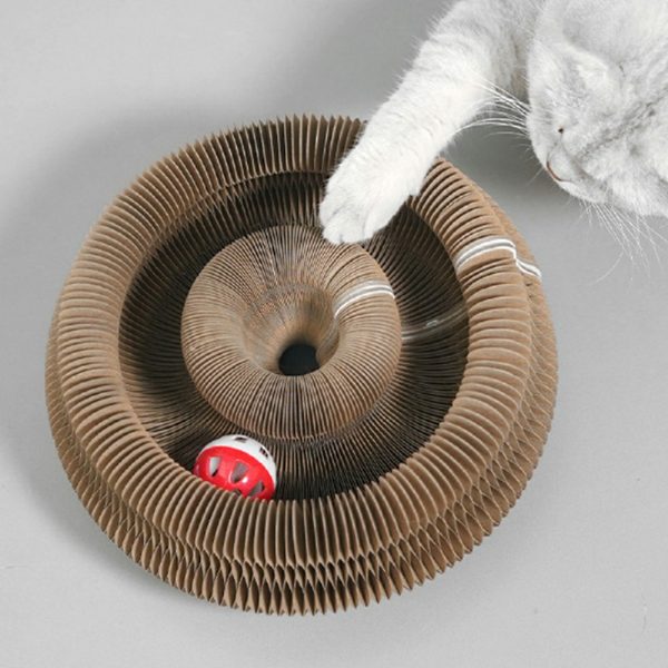 PET-NKGHNG-FKHOIN-13