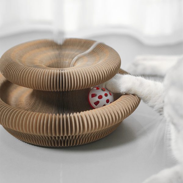 PET-NKGHNG-FKHOIN-6