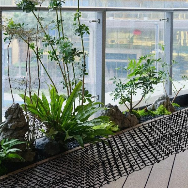 PET-NMOOMH-INKRlQ-11