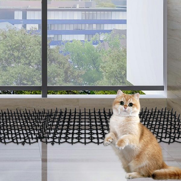 PET-NMOOMH-INKRlQ-13